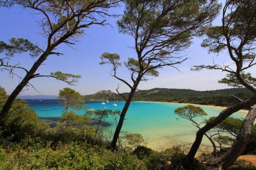 a view of a beach with boats in the water at Port Hyeres Duplex plein Sud 200 M2 et 100 M2 de terrasse in Hyères