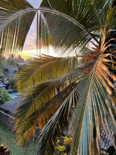 ピンナワラにあるAncient Grand Villaの夕日を背景に椰子