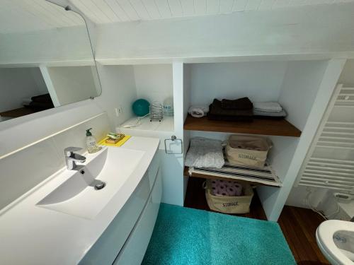 a small bathroom with a sink and a mirror at Port Hyeres Duplex plein Sud 200 M2 et 100 M2 de terrasse in Hyères