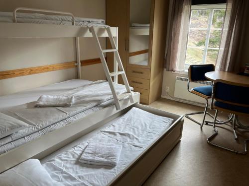 a bedroom with two bunk beds and a ladder at HI Sjoa in Otta