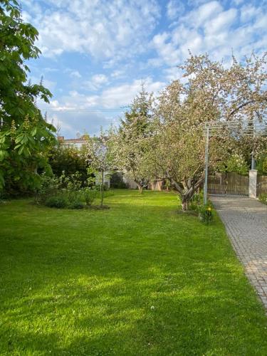 a green yard with a tree and a sidewalk at +Authentic+ in Mariánské Lázně