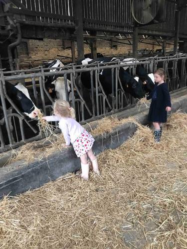 Επισκέπτες που μένουν στο Gîte Ferme cidricole et laitière