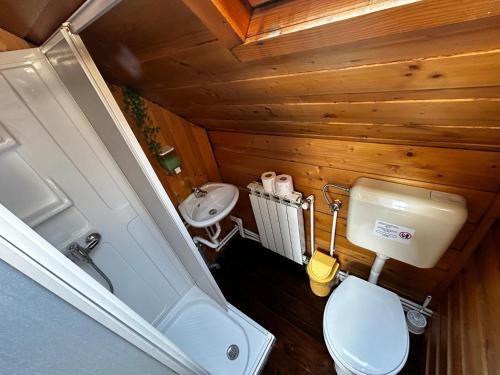 an overhead view of a bathroom with a toilet and sink at Natura BH in Izvoare