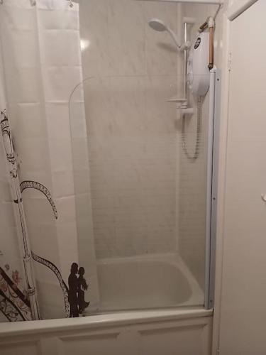 a shower with a glass door in a bathroom at Shed No 9 in Colyford