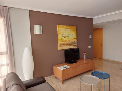 Телевизор и/или развлекательный центр в Apartamentos Plaza Picasso