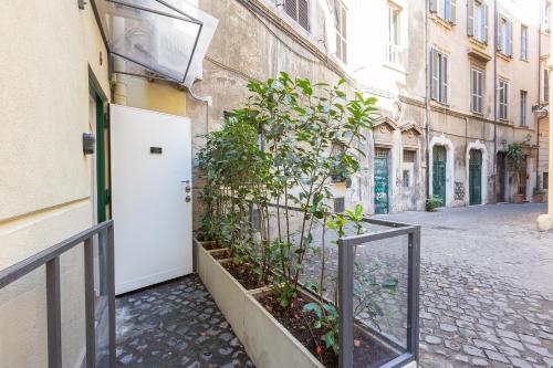 Fabiè Trastevere