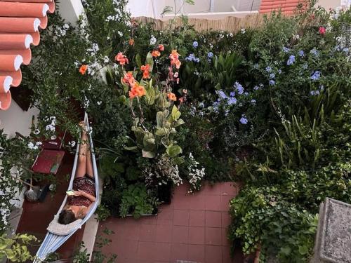 a bunch of flowers and plants in a garden at Casa Flow and Glow in Santiago do Cacém