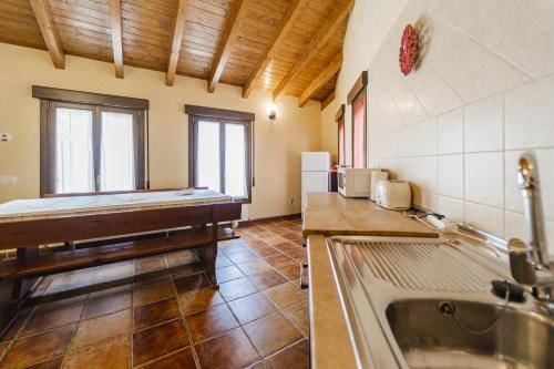 eine Küche mit Spüle und Arbeitsplatte in der Unterkunft La Dehesa de Santa Ursula 2 in Espeja de San Marcelino