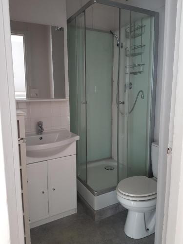 une salle de bain avec une douche, des toilettes et un lavabo dans l'établissement Appartement PERRET 105 rue Victor Hugo, lumineux, plein centre, Parking privé Arrivée autonome Tout à pied, au Havre