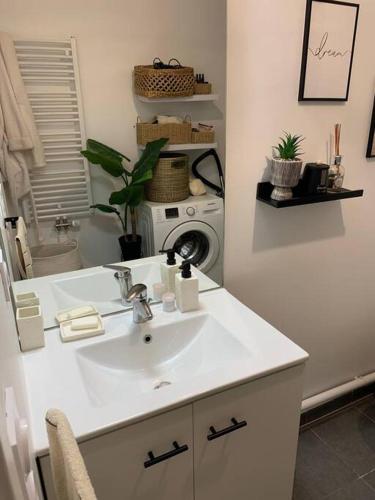 une salle de bain avec un lavabo et une machine à laver dans l'établissement Appartement cosy 2 pièces à Neuilly-sur-marne, à Neuilly-sur-Marne