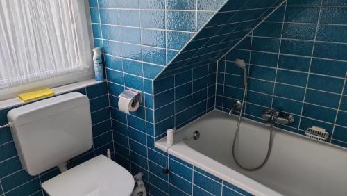a blue tiled bathroom with a toilet and a shower at Sterne Luxus Heidesonne in Jesteburg
