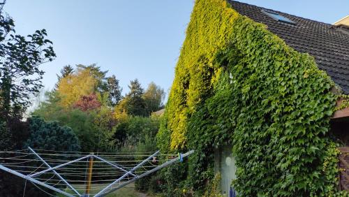 a building covered in ivy next to a house at Sterne Luxus Heidesonne in Jesteburg