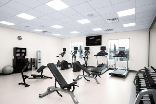 a gym with treadmills and elliptical machines at Hilton Garden Inn Houston/Clear Lake NASA in Webster