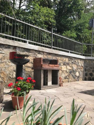 a brick grill with red flowers in front of a stone wall at Villa Enrico in Monticchio