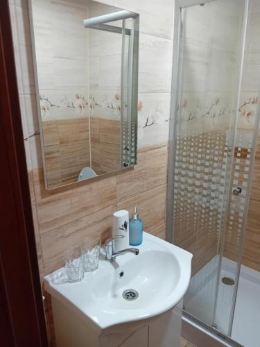 a bathroom with a sink and a shower at Casa Jazmin Covasna in Covasna