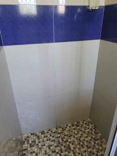a shower with blue and white walls and a tiled floor at The Zion Hill in East London