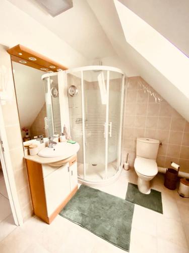 une salle de bain avec toilettes, lavabo et douche dans l'établissement Celies Country Cottage, à Blaru