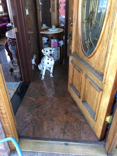 a dog standing in front of a door at Private Unit - Shared Public Space in South Ozone Park