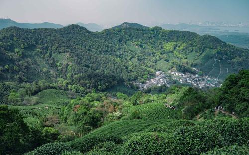 Naturlandschaft in der Nähe der Pension