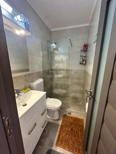 a bathroom with a shower and a toilet and a sink at Angela in Călimăneşti
