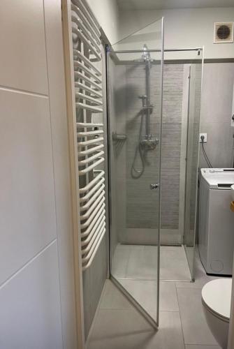 a bathroom with a shower with a glass door at es studio in Staszów