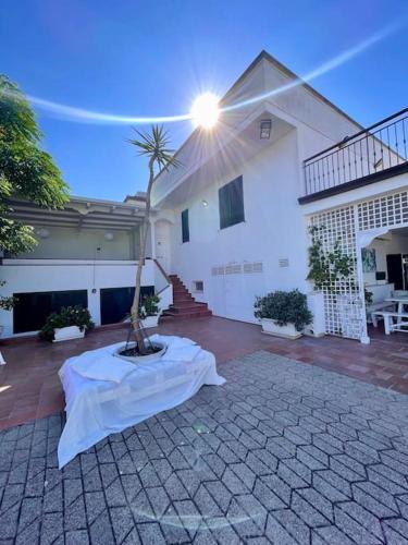 a house with a tree in the middle of a courtyard at Casa in campagna vicino Polignano A Mare - EKATOS in Triggianello