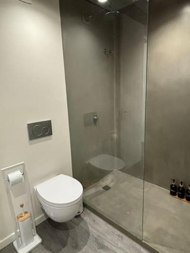 a bathroom with a toilet and a shower at BeliHouse in Trafaria