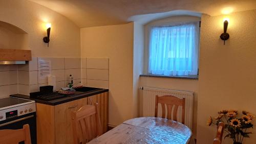 a small kitchen with a table and a window at Pension am Elberadweg in Radebeul