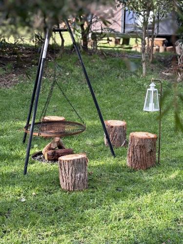 a swing in the grass with tree stumps at Golden Valley Retreat by Tiny Away in Waihi