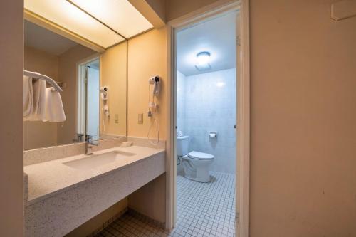 a bathroom with a sink and a toilet at Fullerton Manor Inn in Niagara Falls