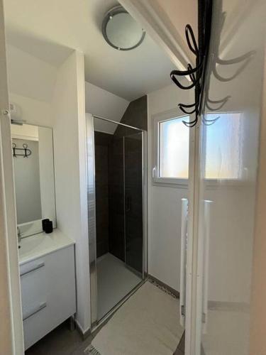 une salle de bain avec une douche, un lavabo et un miroir dans l'établissement Maison coquillages et pré-salés, à Pinchefalise