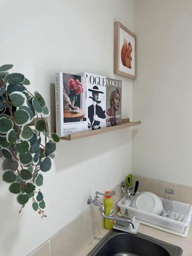 a kitchen counter with a sink and a plant at Delipark Mall 2 Bedrooms 1 Bathroom 4-6 Pax Lexington Tower Level 7 in Medan
