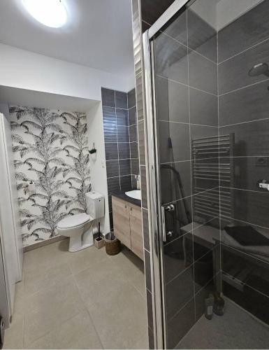 une salle de bain avec une douche, des toilettes et un lavabo dans l'établissement Au petit coeur de l'isle, à LʼIsle-sur-la-Sorgue