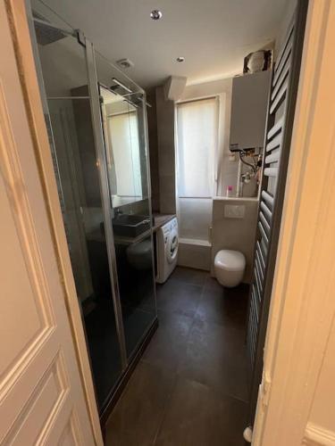 une salle de bain avec une douche en verre et des toilettes dans l'établissement Appartement Le Joséphine avec jardin privatif, à Rueil-Malmaison