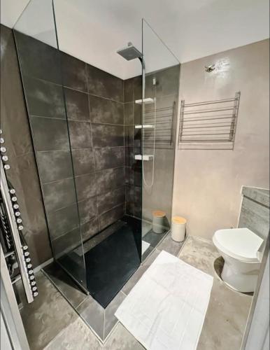 une salle de bain avec douche et toilettes dans l'établissement Appartement hyper centre Aix, à Aix-en-Provence