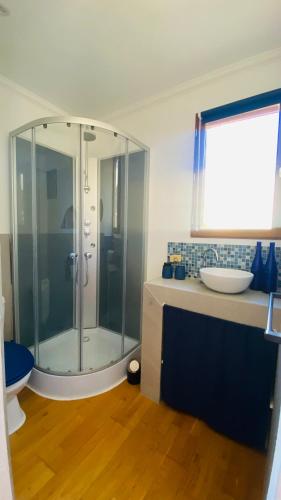 une salle de bain avec une douche en verre et un lavabo dans l'établissement Le Chalet Pignantais avec option Jacuzzi, à Pignans