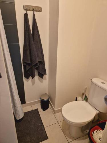 La salle de bains est pourvue de toilettes et de serviettes murales. dans l'établissement Studio Déco Moderne à Nantes - Comme à la Maison, à La Contrie