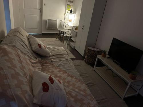 a bedroom with a bed and a flat screen tv at Chaleureux studio 3km de Luxembourg in Audun-le-Tiche