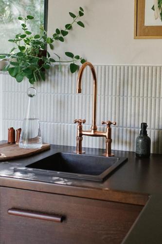 a kitchen counter with a sink and a plant at hOMM domek nad jeziorem in Stryszów