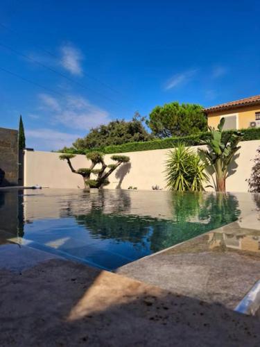 LA VILLA METISSE Villa Détente et sa Piscine Zen