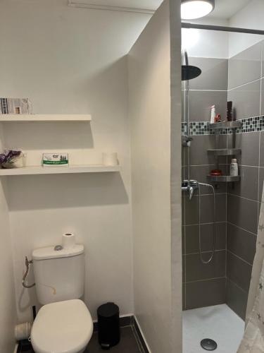 une petite salle de bain avec toilettes et douche dans l'établissement Location maisonnette avec jardinet, à Vallauris