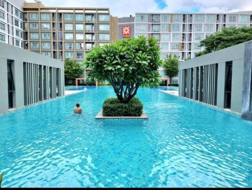 a man in a pool with a tree in the middle at D condo sign D4 in Chiang Mai