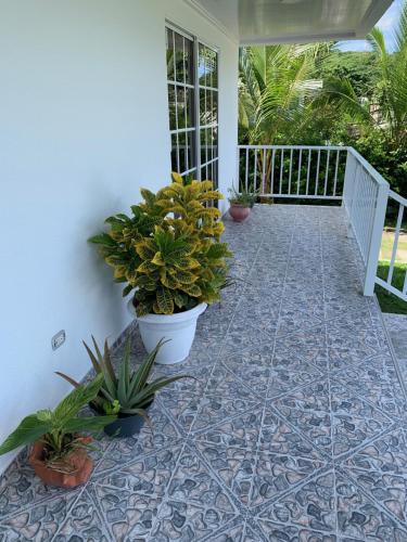 a porch with potted plants on a house at Apartamentos The Captain and His Queen in Playa Aguadulce
