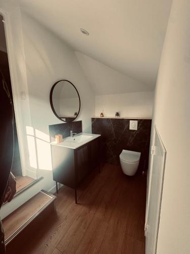 une salle de bain avec un lavabo et un miroir et des toilettes dans l'établissement Gîte saint Bernard, à Sedan