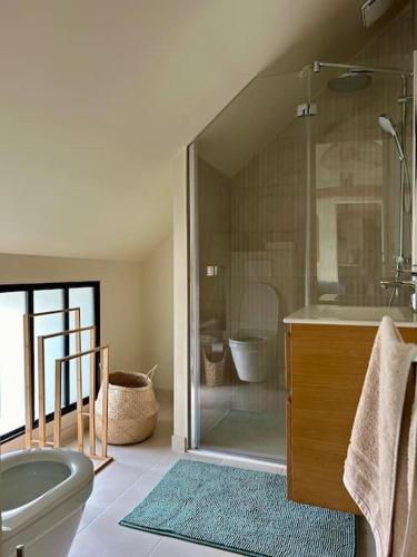 une salle de bain avec une douche, des toilettes et un lavabo dans l'établissement Appartement à l'abri du donjon, à Loches