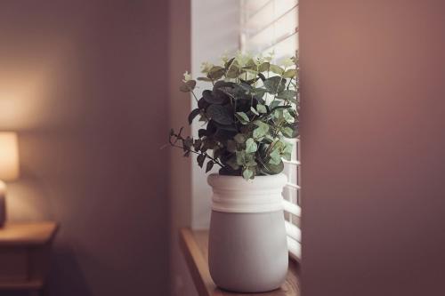 a white vase with a plant sitting on a table at Ingleborough in Carnforth