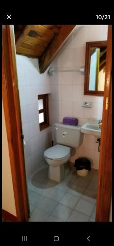 a bathroom with a toilet and a sink at Cabaña Mazamitla #6 David's in Mazamitla