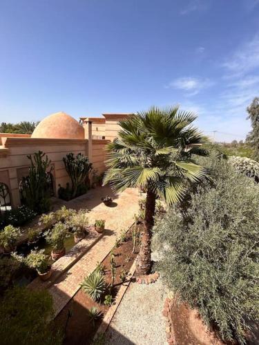 a garden with a palm tree and other plants at Villa d architecte Marrakech in Oulad Jellal