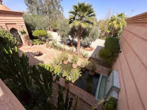 an overhead view of a garden with trees and plants at Villa d architecte Marrakech in Oulad Jellal