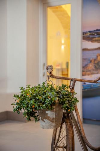 a bike with a basket full of oranges at Residenza San Giovannello in Marsala